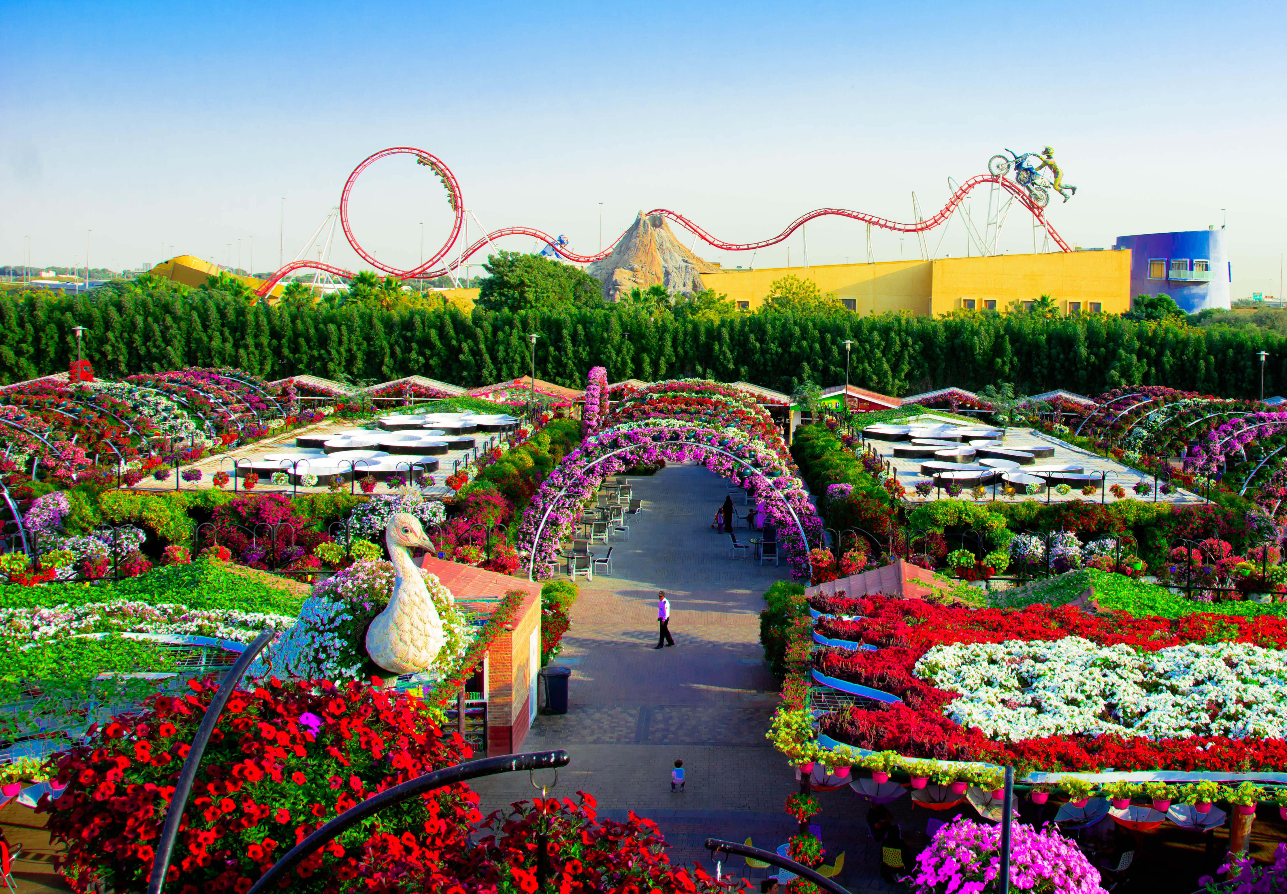 Dubai Miracle Garden