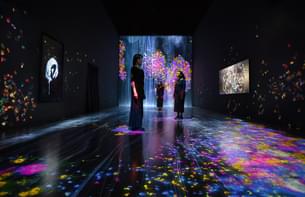 teamLab Future World