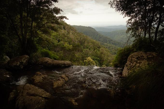 Springbrook National Park