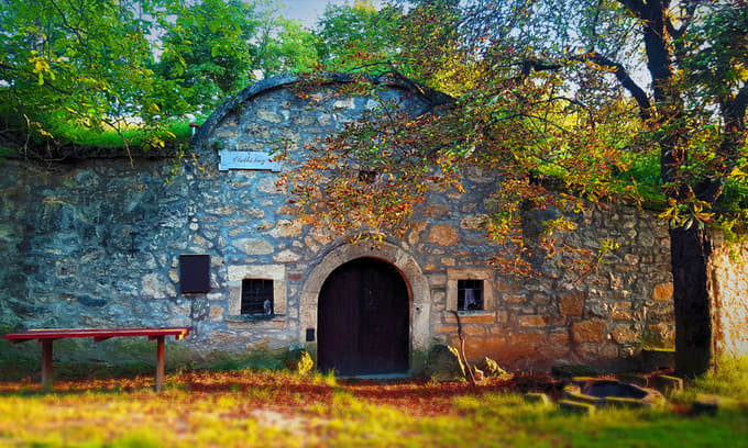 Welcome to the Paty Wine Village