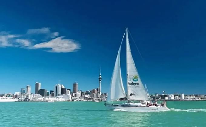 sailing cruise auckland