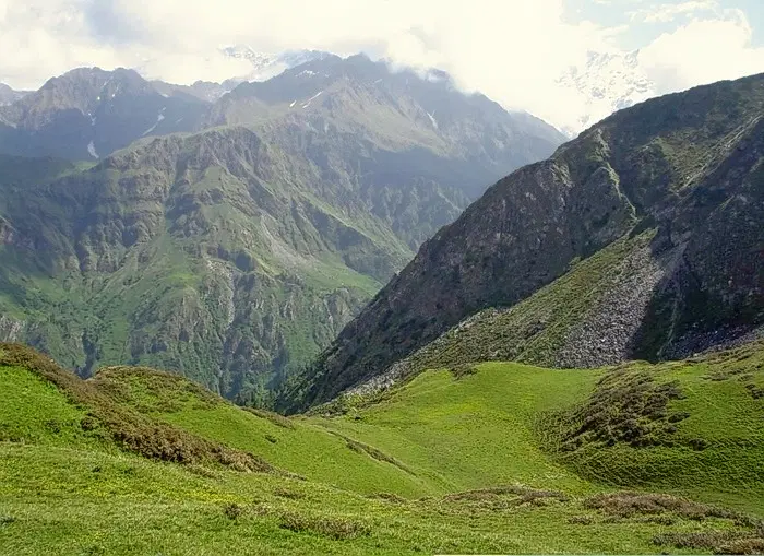 Dodital Trek