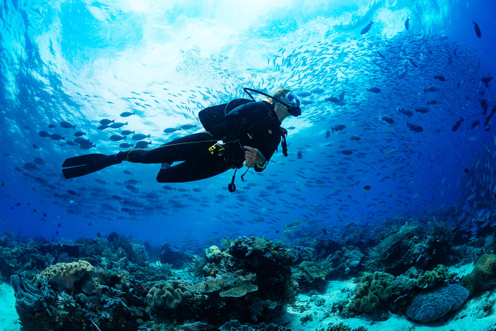 Experience the thrill of scuba diving till a maximum depth of 20m