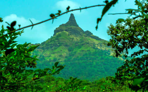 Things to do in <em>Palghar</em>