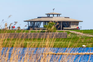 Spend time in the tranquil ambiance of Cañada de los Pájaros Bird Reserve