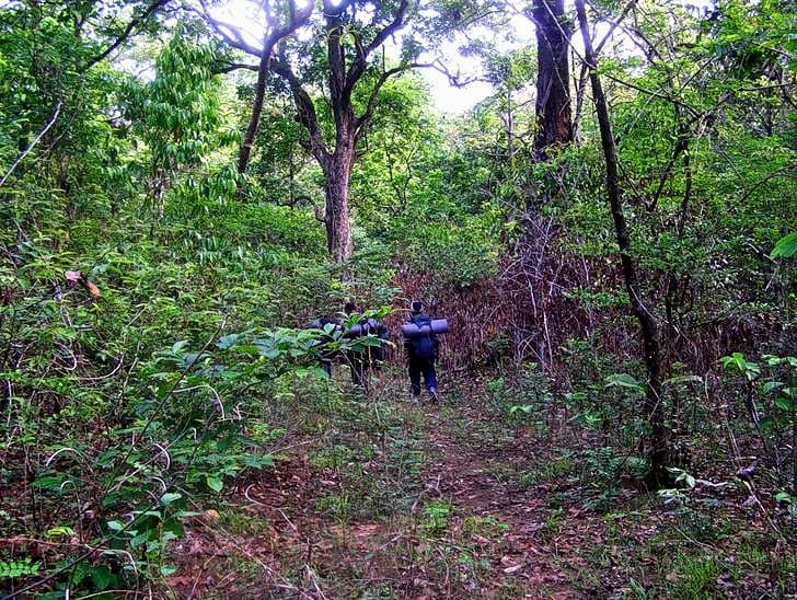 Ombattu Gudda Trek Image