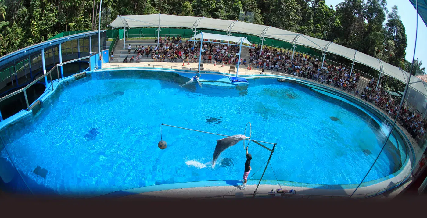 Underwater World, <em>Singapore</em>