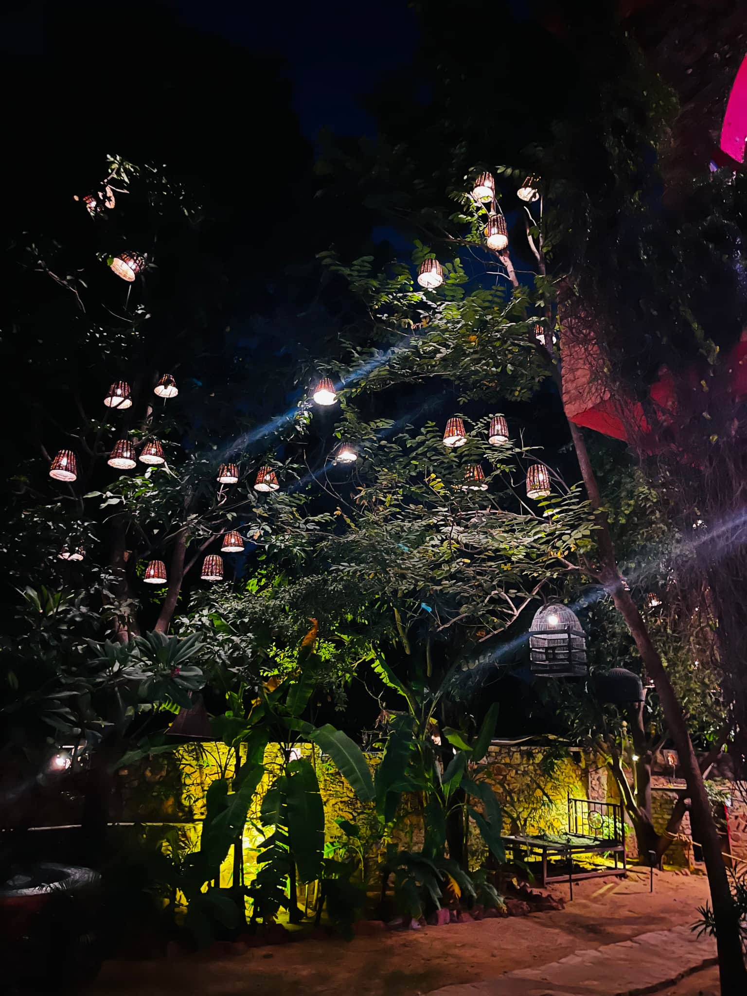Photo from Samiksha  Sharma's trip