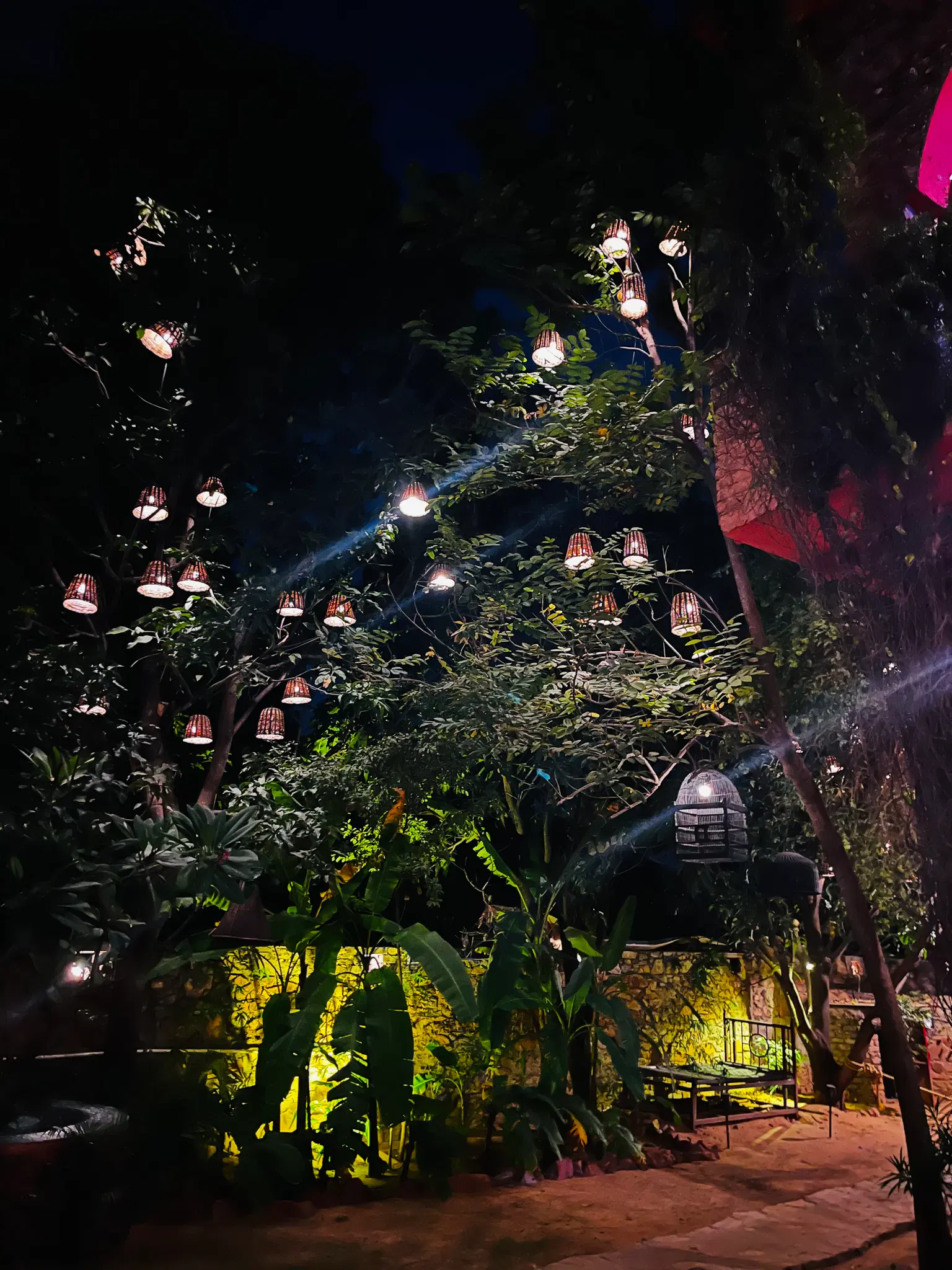 Photo from Samiksha  Sharma's trip