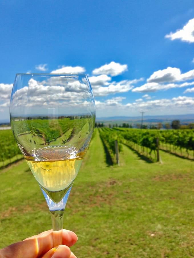 Yarra Valley Wine Tour