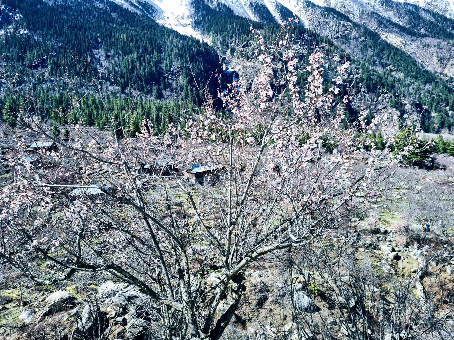 Photo from Harsh .'s trip