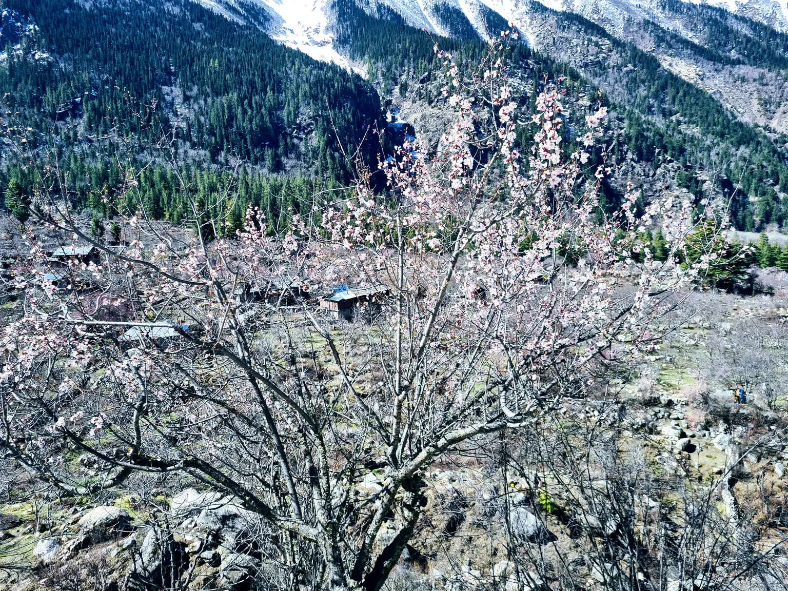Photo from Harsh .'s trip