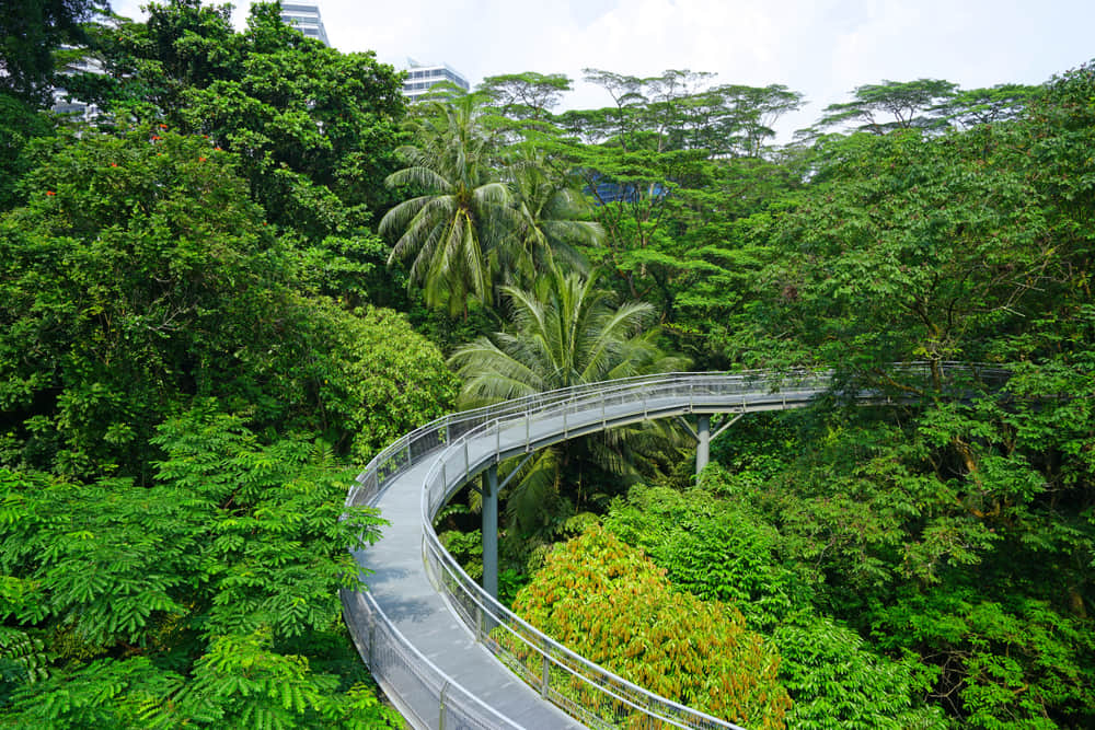 Get enchanted at the Southern ridges
