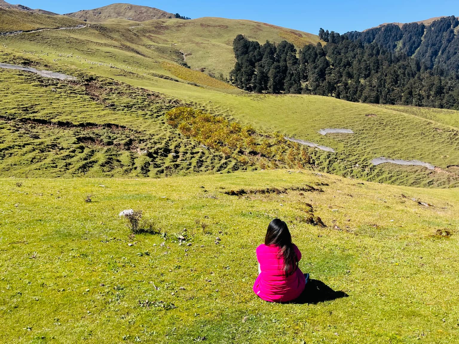 Photo from Dia B's trip