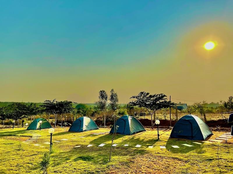 Camping Experience at Aura Foothills Image