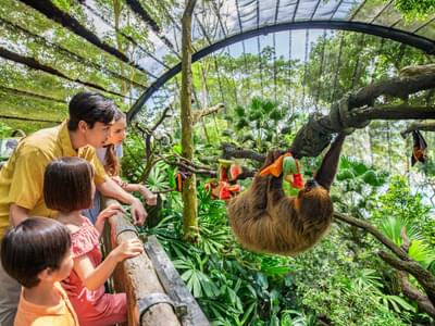 Singapore Zoo Tickets with Roundtrip Transfers