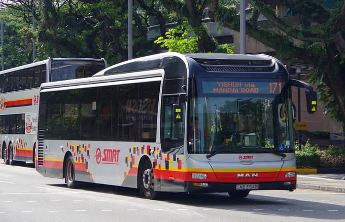 Bird Paradise By Bus