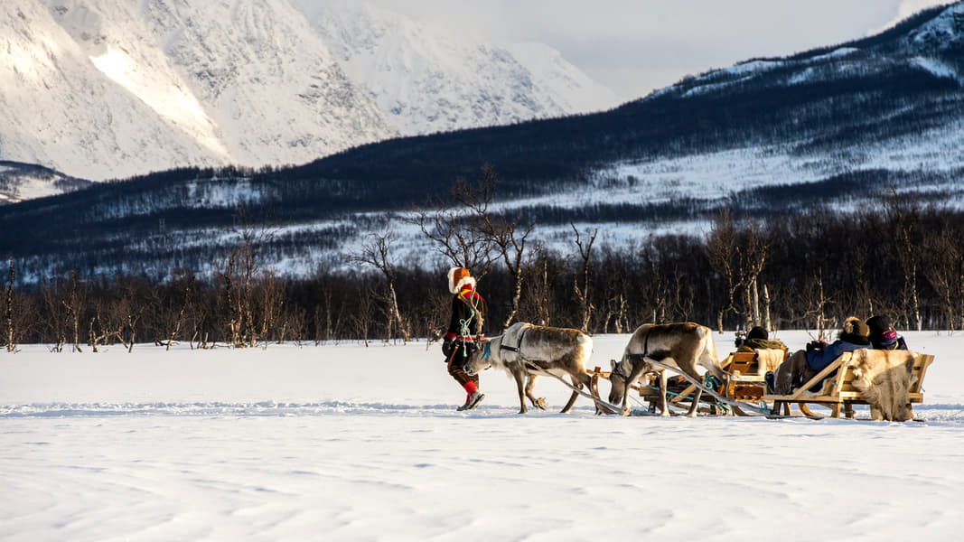 Norwegian Odyssey with FREE Overnight Bergen Cruise Image