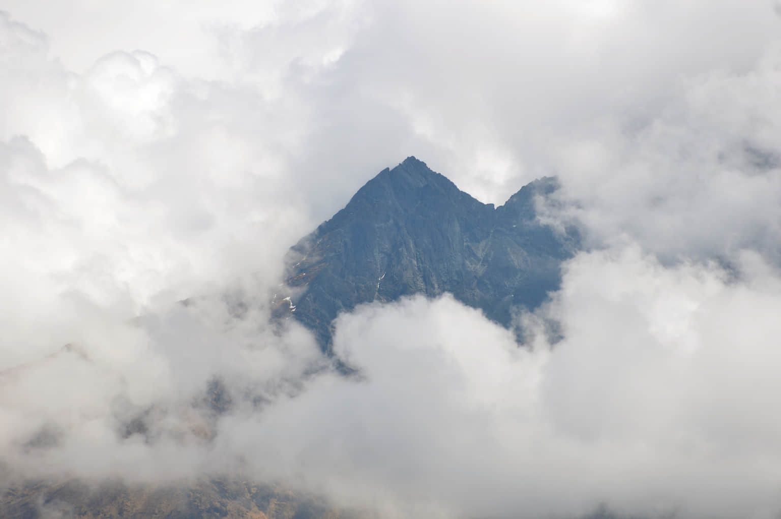 Photo from Anushree 's trip