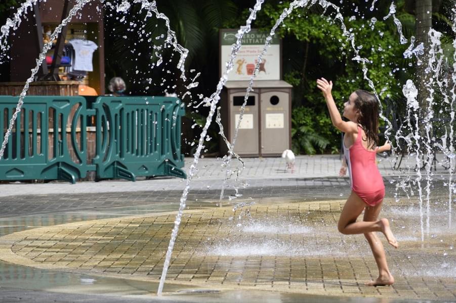 Wharton-Smith Tropical Splash Ground 