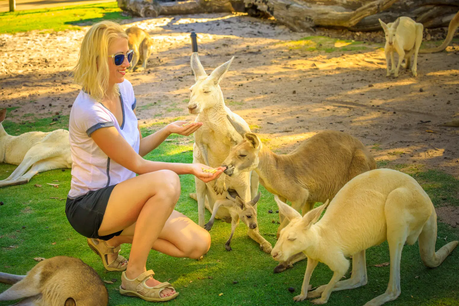 Perth Zoo