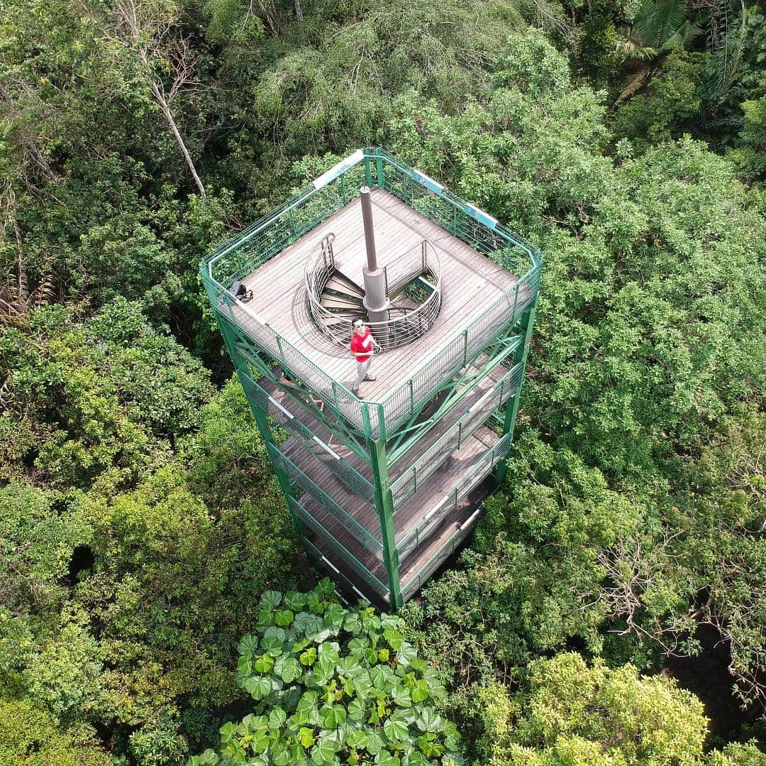 Climb the Jelutong Tower