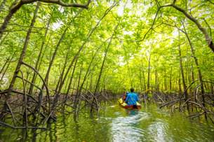 Tti3egj4wb9wlokkdk1vcq27qf18 g7llruh8xaph8kogxslo6mrdkpww shutterstock 2211349993