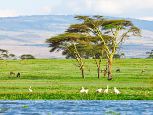 Boat Ride at Lake Naivasha