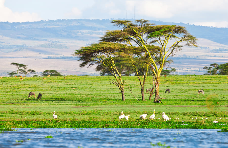Boat Ride at Lake Naivasha Image