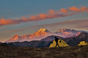 Ttoxgtn8r9ngf2wup07bd7pcqlsy shutterstock 1340520197