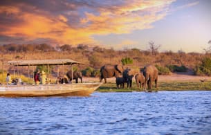 Ttx933hgmerrca1fbv7xi28prkac chobe gallery