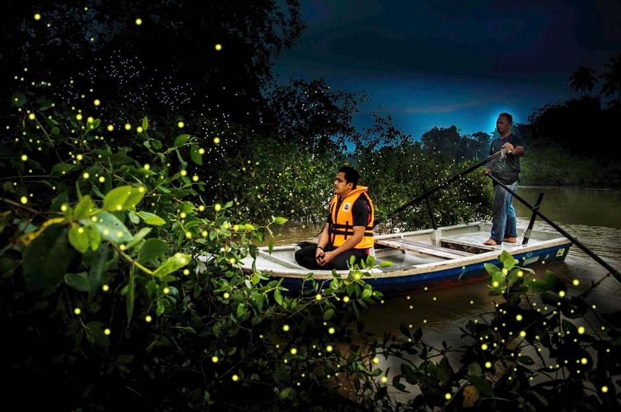 Sail on the Kuala Selangor River and see the dazzling fireflies