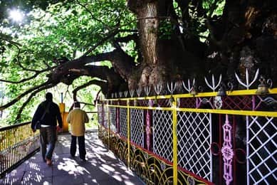 Explore the Temple Complex and Its Shrines