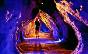 Tu2hk8p2bfs33twtz76vwtnmwcru 1583913253 1583751830 555.jpg