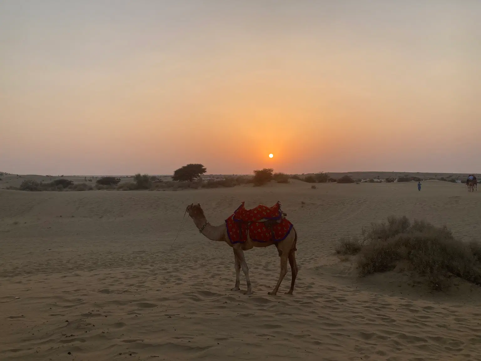 Photo from Abhijith  S A's trip