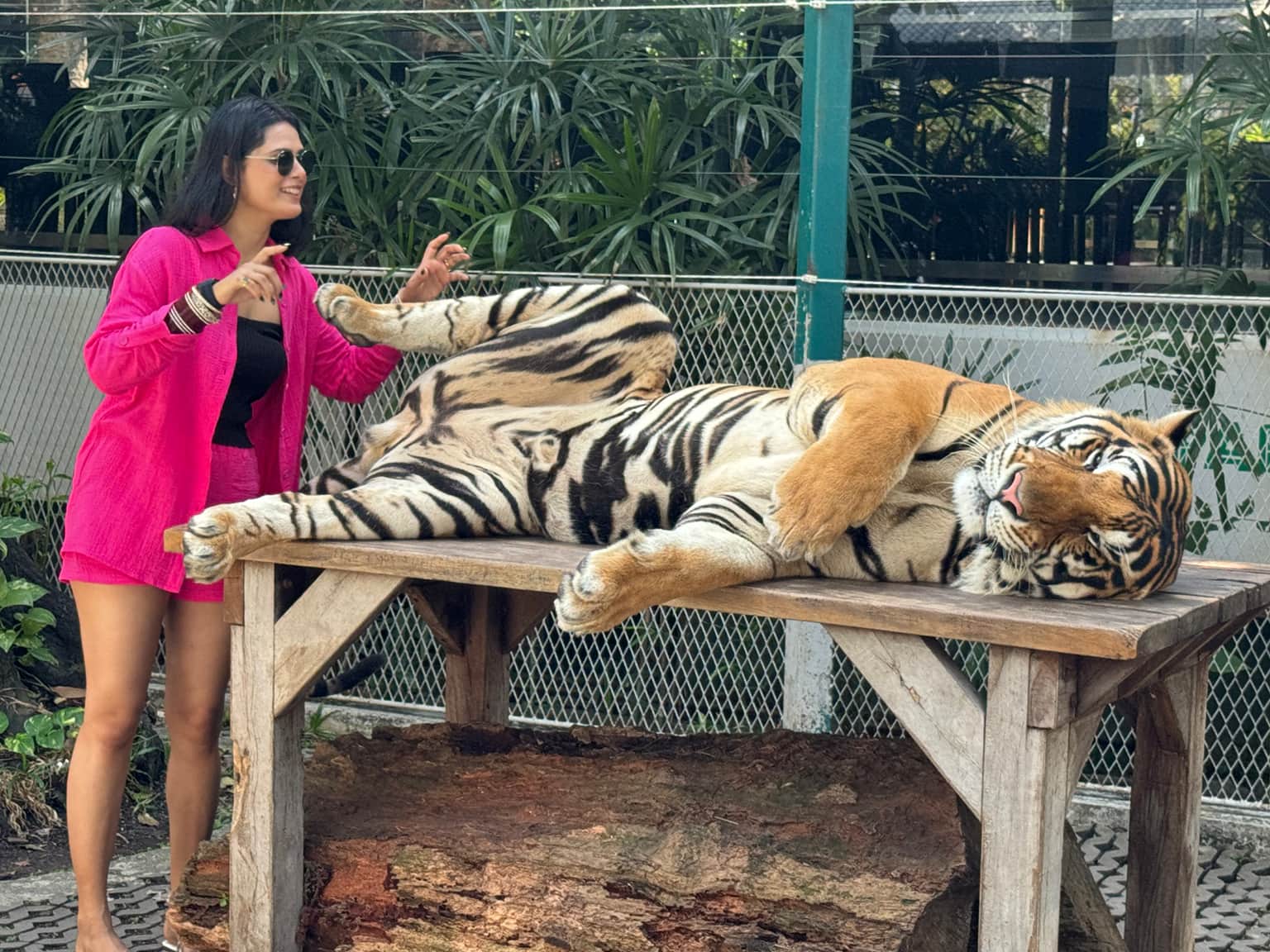 Photo from Anish Ranjan's trip