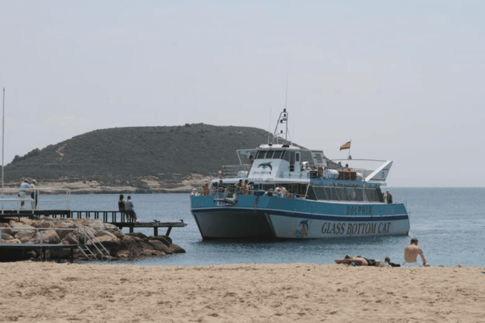 Dolphin Watching Mallorca Tours