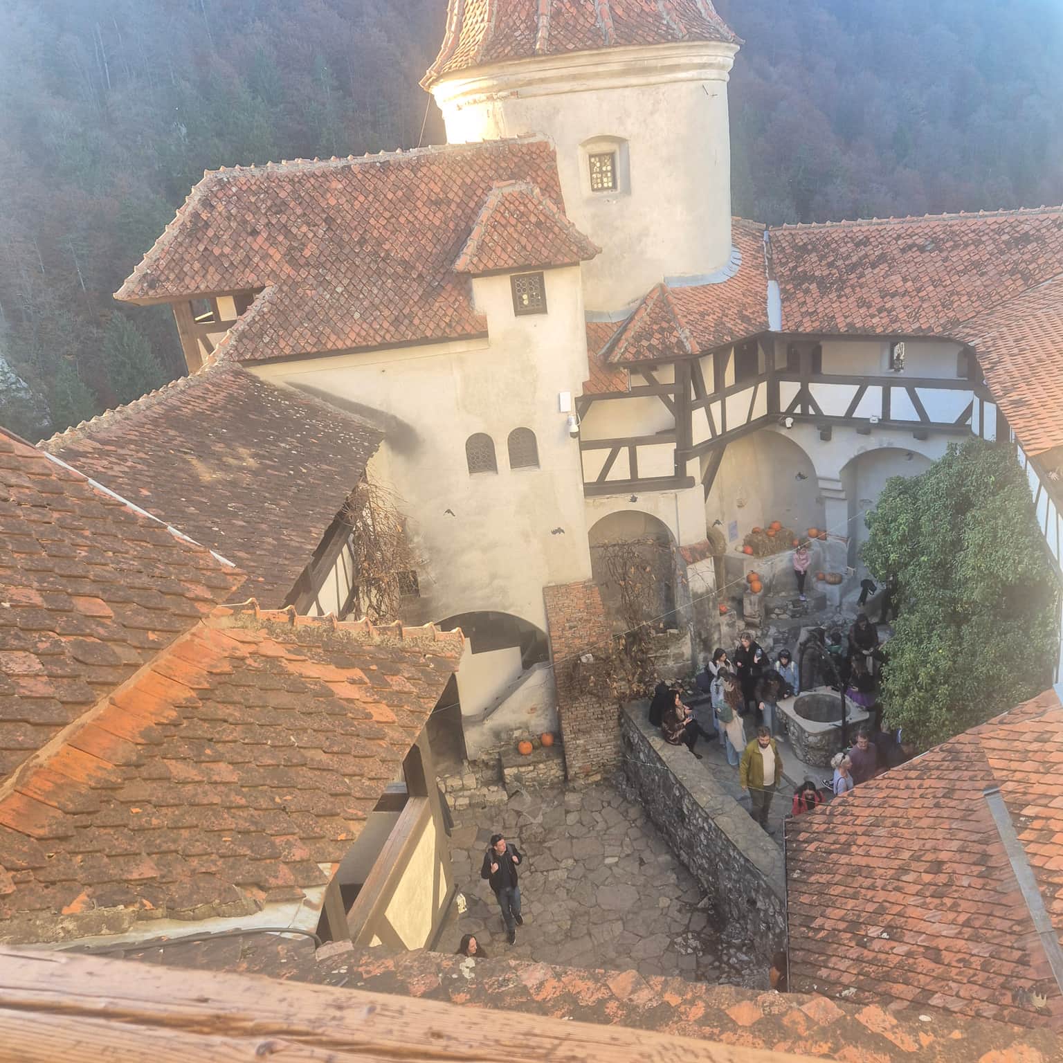 Photo from brendan rothery's trip