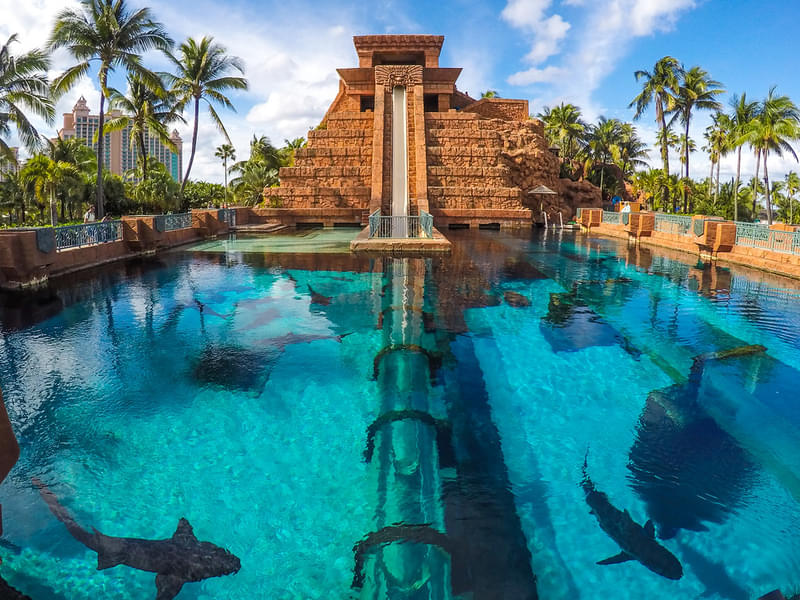 The Tower Of Poseidon Water Slide At The Aquaventure