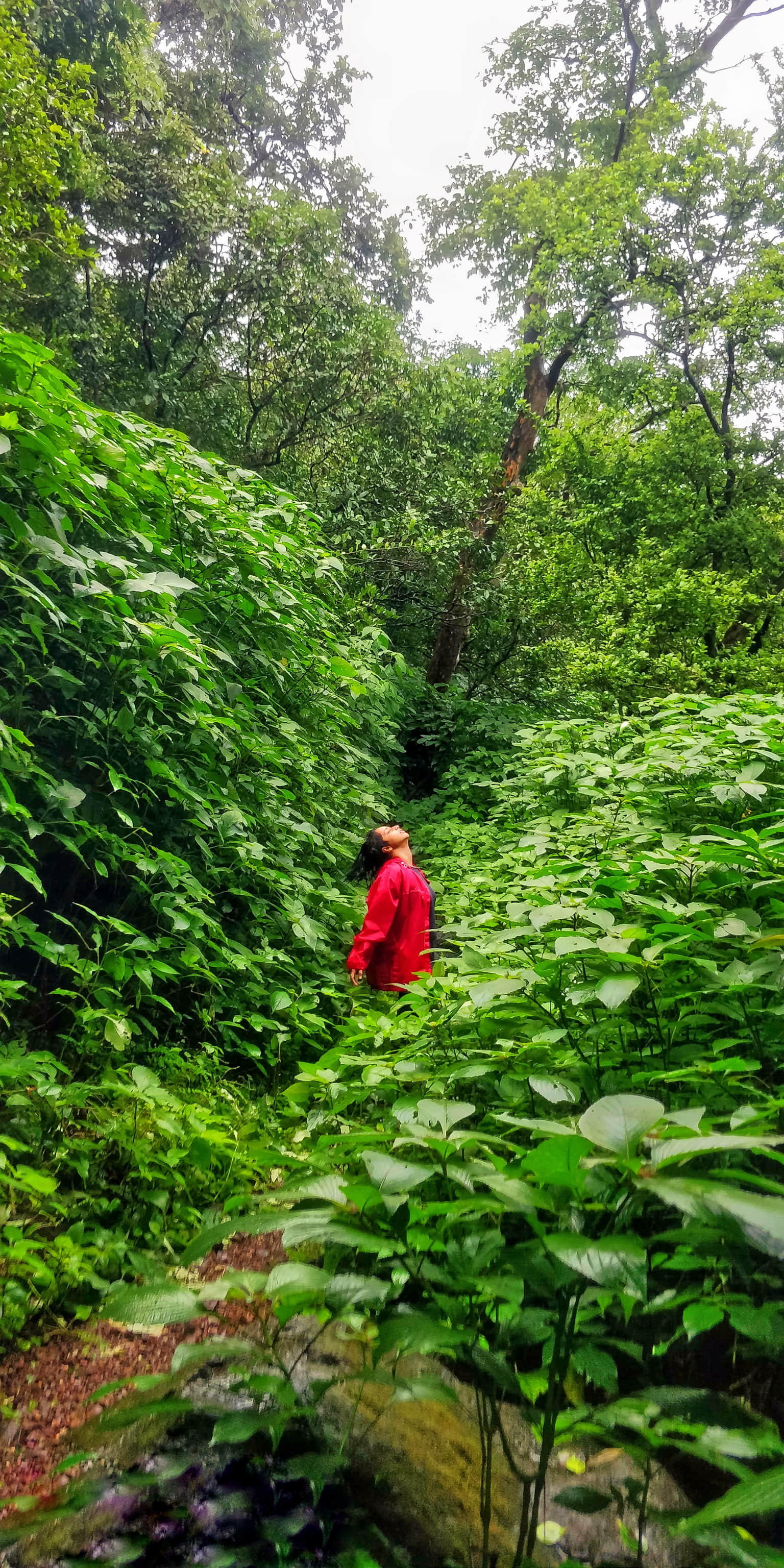 Photo from Swapna Yelluru's trip