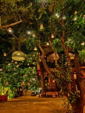 Tvinwsx03ha76vehrma68lhc68zk whatsapp%20image%202022 11 21%20at%202.03.27%20pm