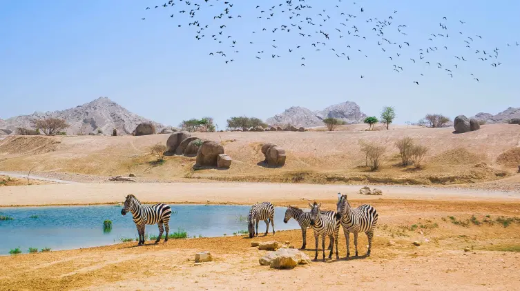 Sir Bani Yas Wildlife Park
