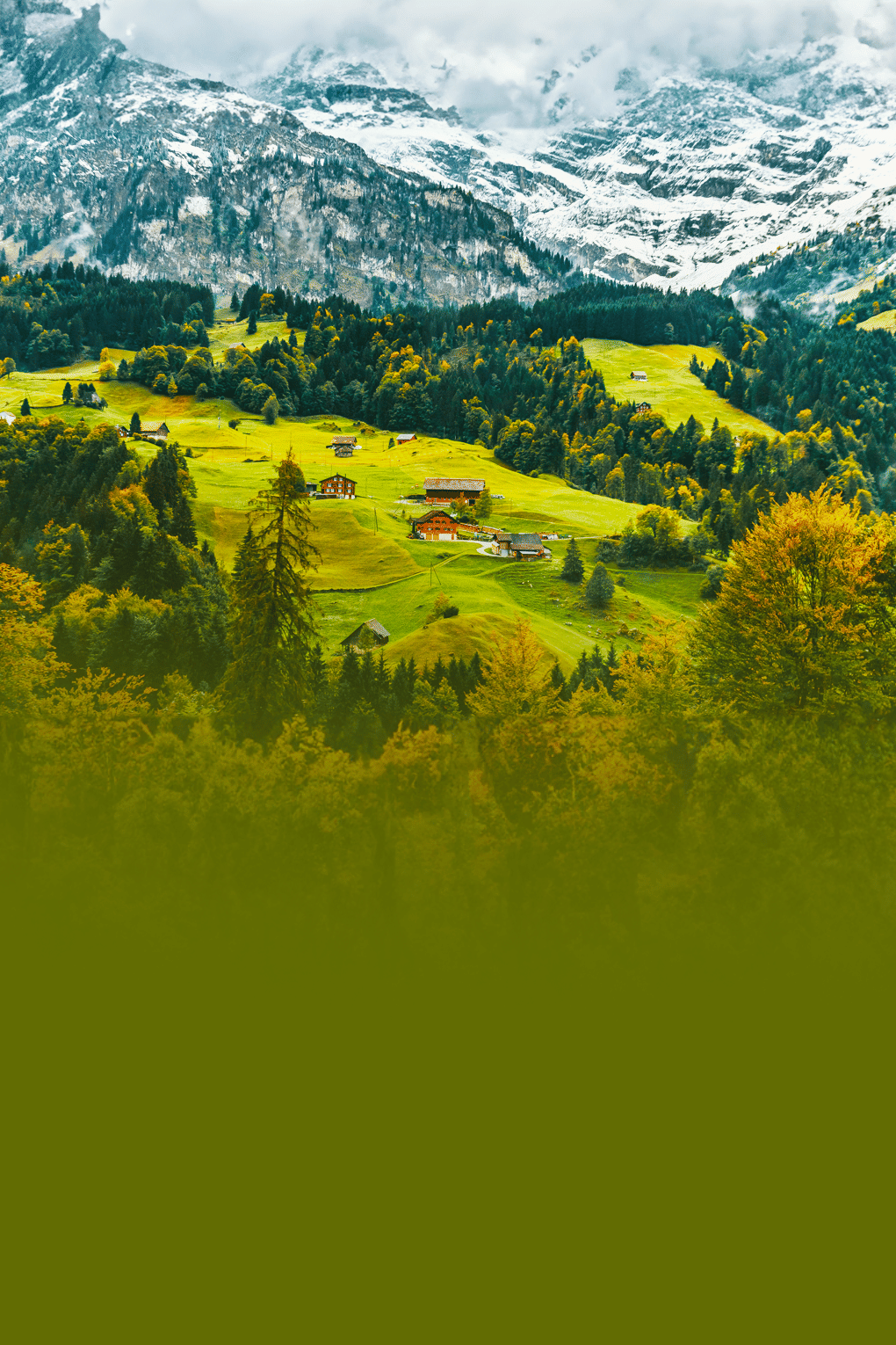 Glimpse Of Switzerland | FREE FIFA Museum Tickets