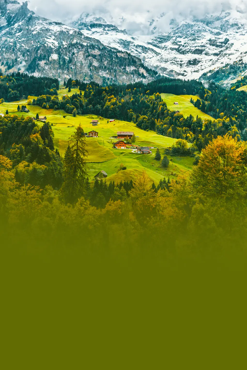 Glimpse Of Switzerland | FREE FIFA Museum Tickets