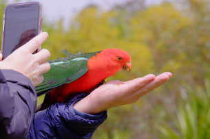 Twiodcejr0ja4853237px2cedksd shutterstock 1608447790