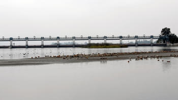 Twu1bo7obq64ub9mg0eew3qw4wc1 1488818158 asan barrage 1