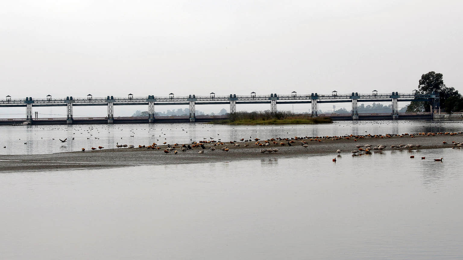 Asan Barrage, <em>Dehradun</em>