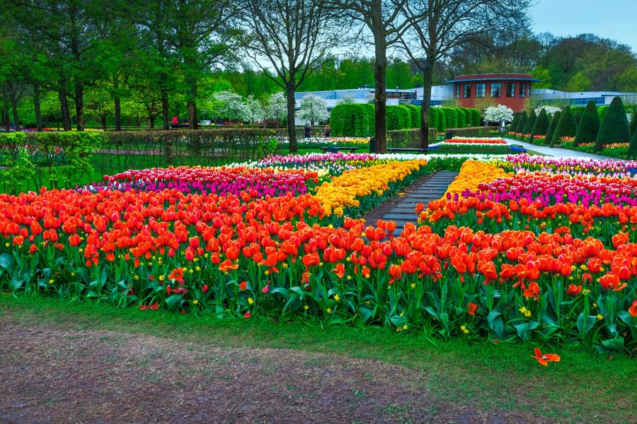 Tulip Season in Keukenhof Gardens