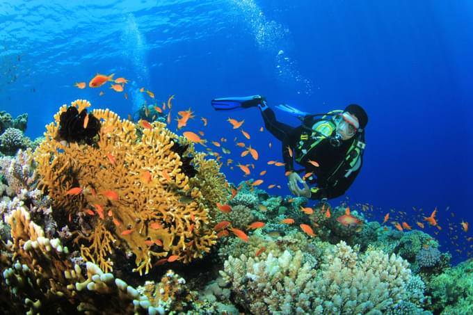 Dubai Diving Courses