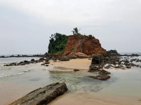 Tx5n21xq1tpmj68v02sutebd014h 1562164243 shutterstock 1426139591